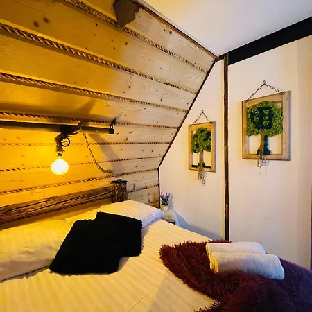 Apartment Viking Shelter - Z Jacuzzi *